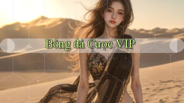 Bóng đá Cược VIP