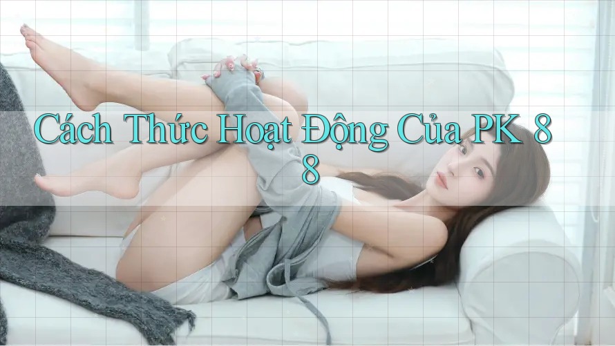 Cách Thức Hoạt Động Của PK 88 Cách Thức Hoạt Động Của PK 88