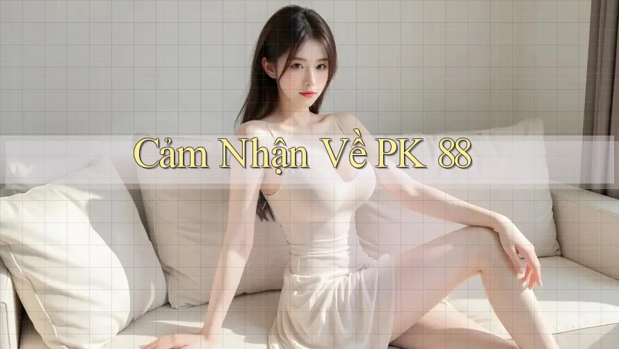 Cảm Nhận Về PK 88 Cảm Nhận Về PK 88