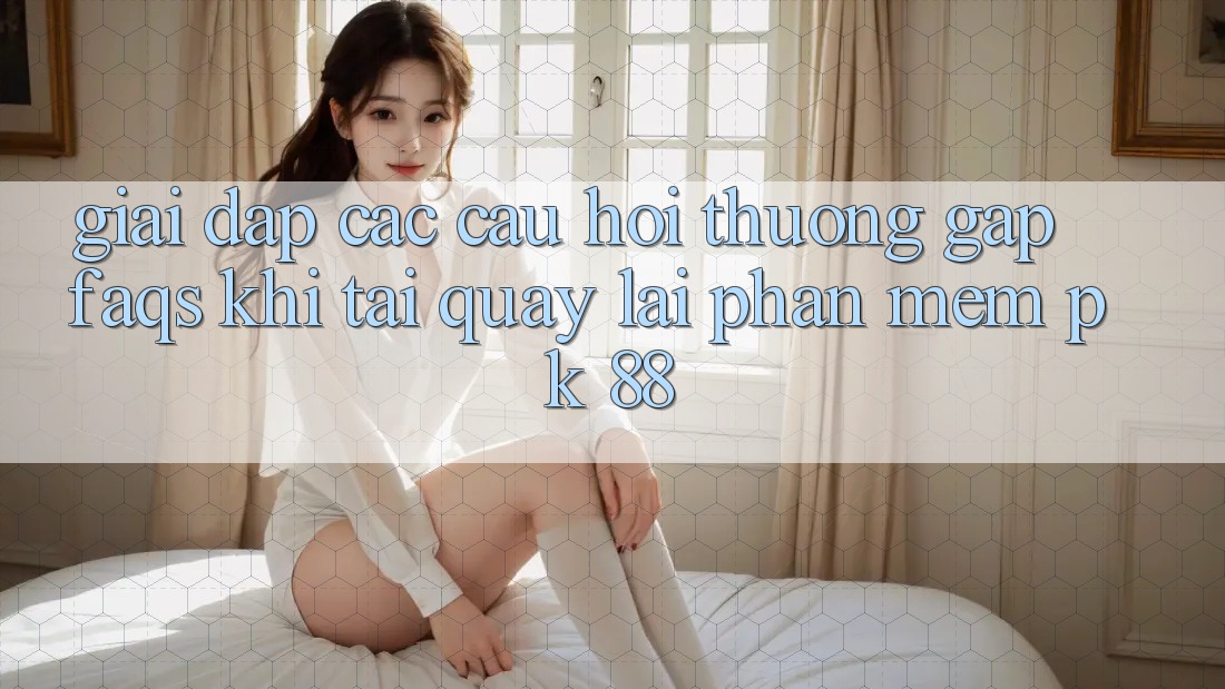 Giải Đáp Các Câu Hỏi Thường Gặp (FAQs) Khi Tải quay lại Phần mềm PK 88 Giải Đáp Các Câu Hỏi Thường Gặp (FAQs) Khi Tải quay lại Phần mềm PK 88