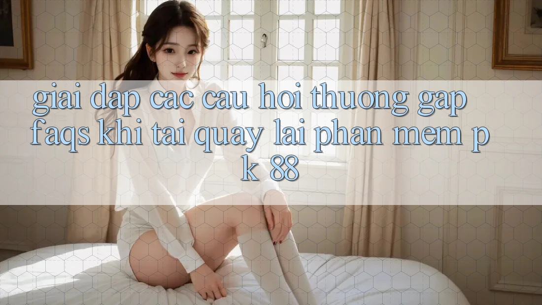 Giải Đáp Các Câu Hỏi Thường Gặp (FAQs) Khi Tải quay lại Phần mềm PK 88 Giải Đáp Các Câu Hỏi Thường Gặp (FAQs) Khi Tải quay lại Phần mềm PK 88