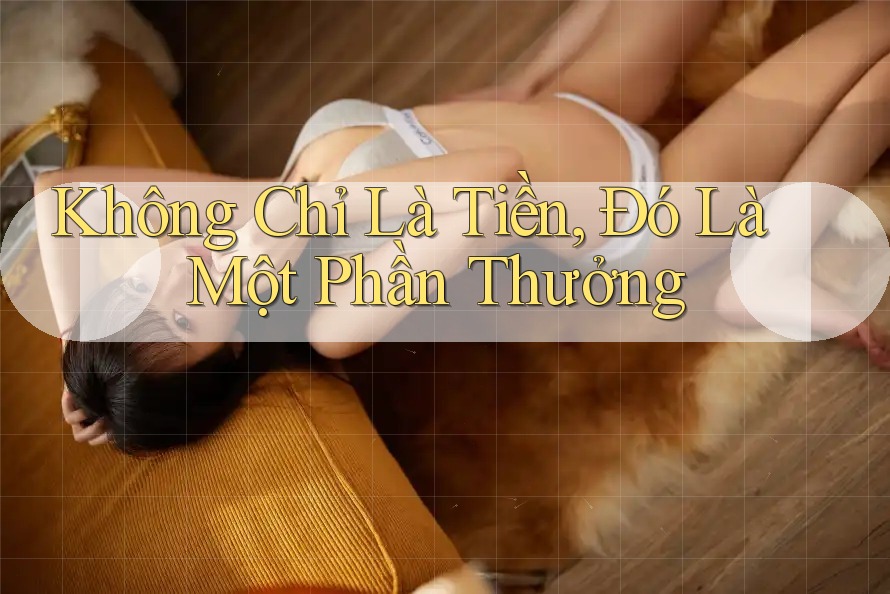 Không Chỉ Là Tiền, Đó Là Một Phần Thưởng Không Chỉ Là Tiền, Đó Là Một Phần Thưởng