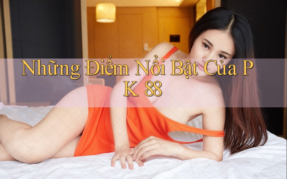 Những điểm nổi bật của PK 88 Những điểm nổi bật của PK 88