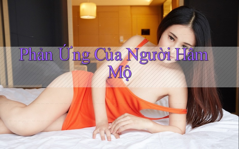 Phản Ứng Của Người Hâm Mộ Phản Ứng Của Người Hâm Mộ