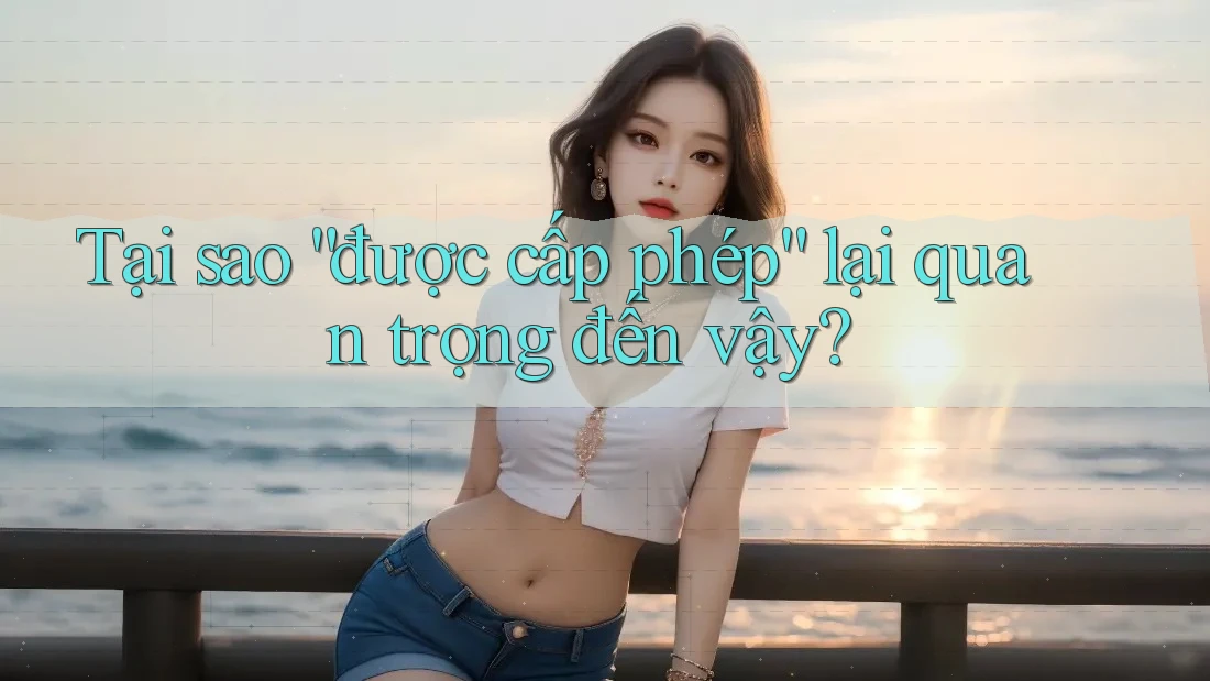 Tại sao “được cấp phép” lại quan trọng đến vậy? Tại sao “được cấp phép” lại quan trọng đến vậy?
