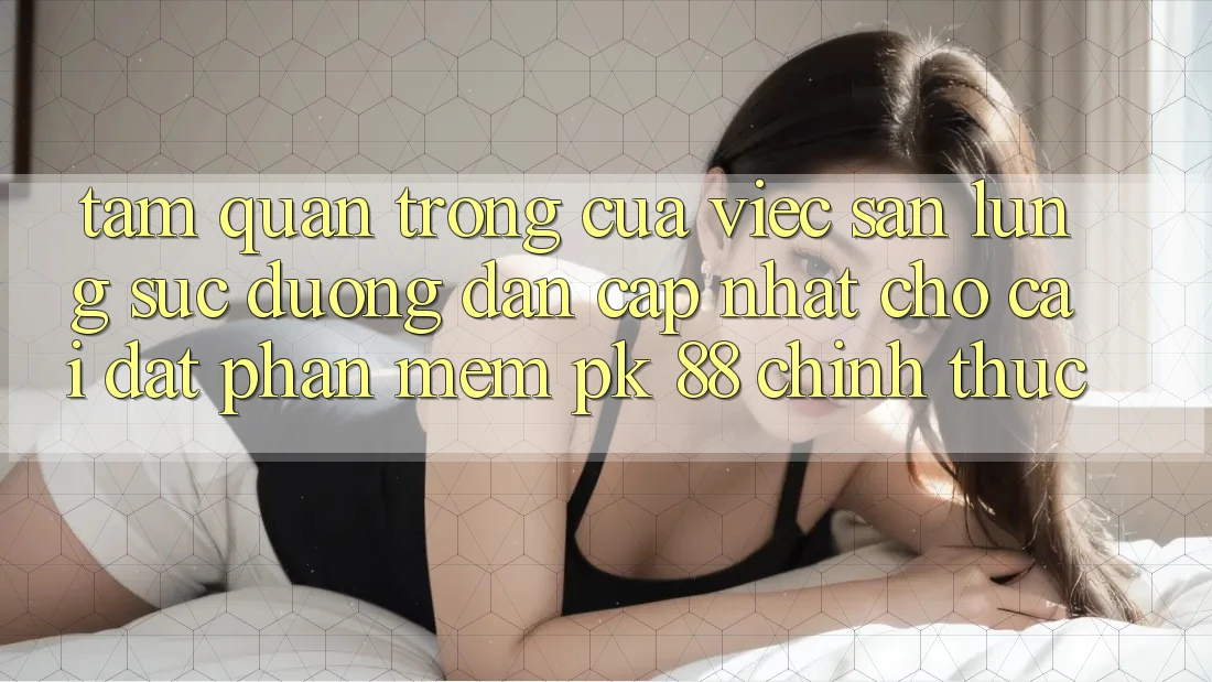 Tầm Quan Trọng Của Việc Săn lùng sục “Đường dẫn Cập Nhật Cho Cài đặt Phần mềm PK 88” Chính Thức